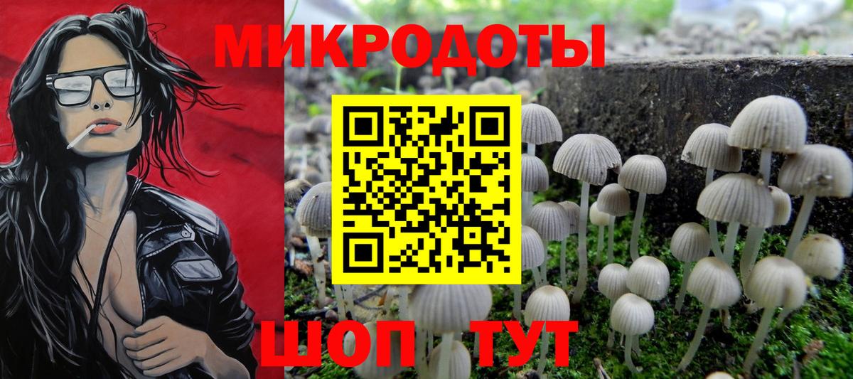 Галлюциногенные грибы GOLDEN TEACHER Россошь