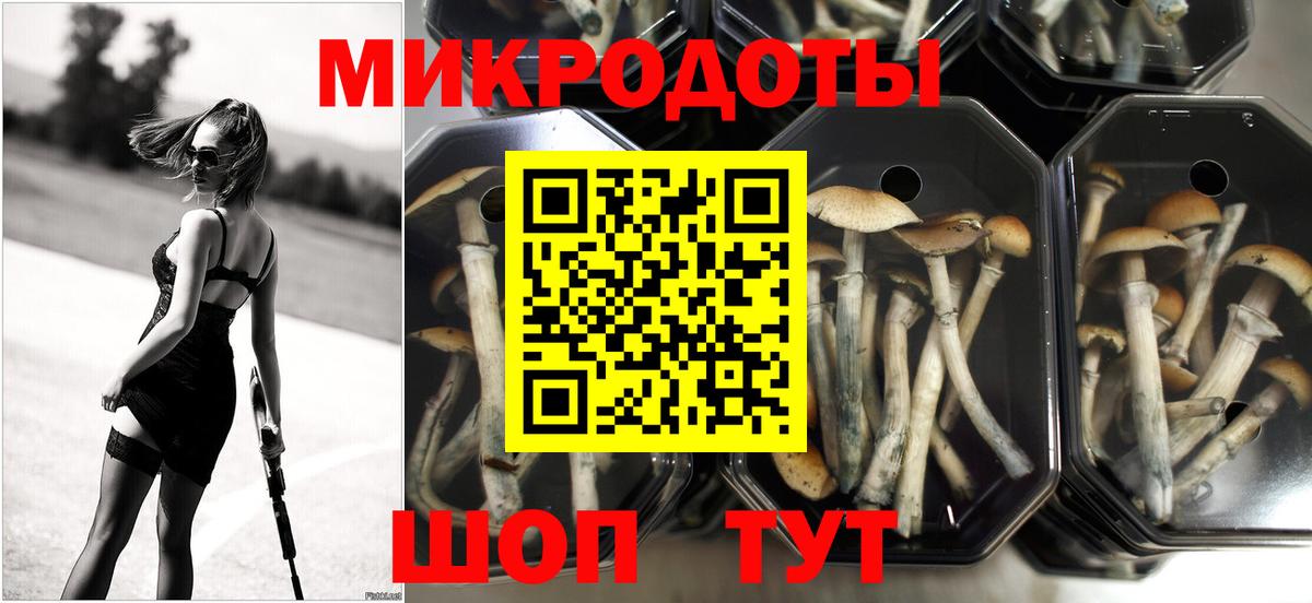 Псилоцибиновые грибы GOLDEN TEACHER  Вход с VPN  Россошь  Галлюциногенные грибы Magic Shrooms 