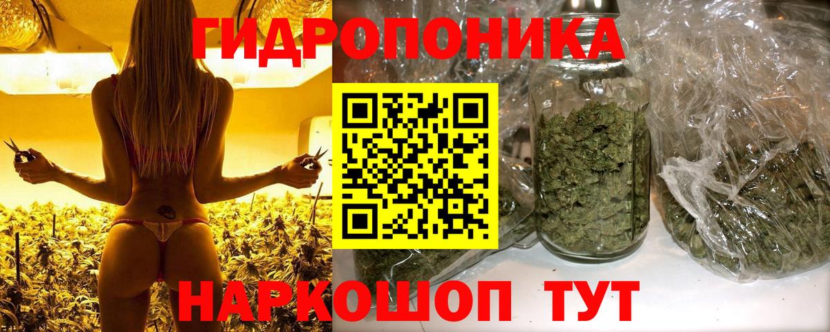 Шишки марихуана Ganja  Вход с VPN  Бошки Шишки планчик  Россошь 